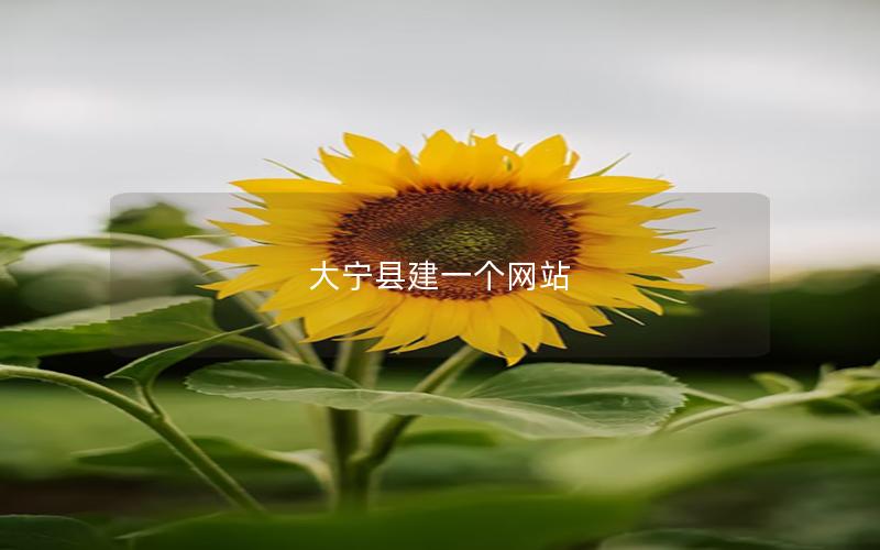大宁县建一个网站