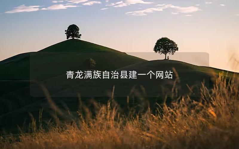 青龙满族自治县建一个网站
