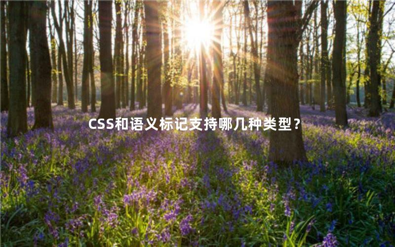 CSS和语义标记支持哪几种类型？