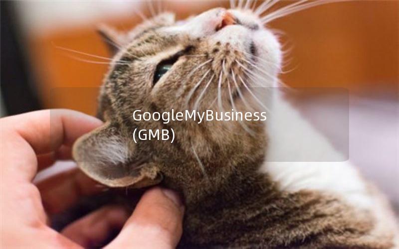GoogleMyBusiness(GMB)