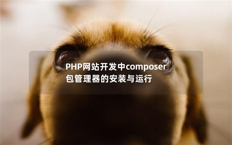 PHP网站开发中composer包管理器的安装与运行