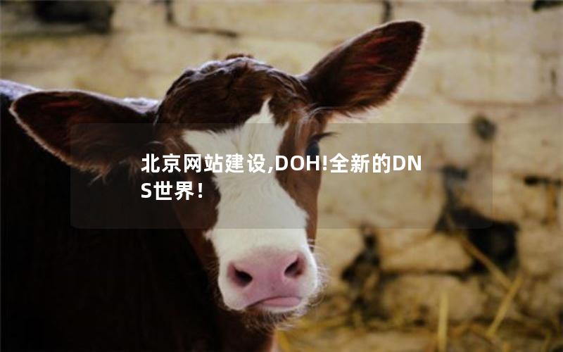 北京网站建设,DOH!全新的DNS世界！
