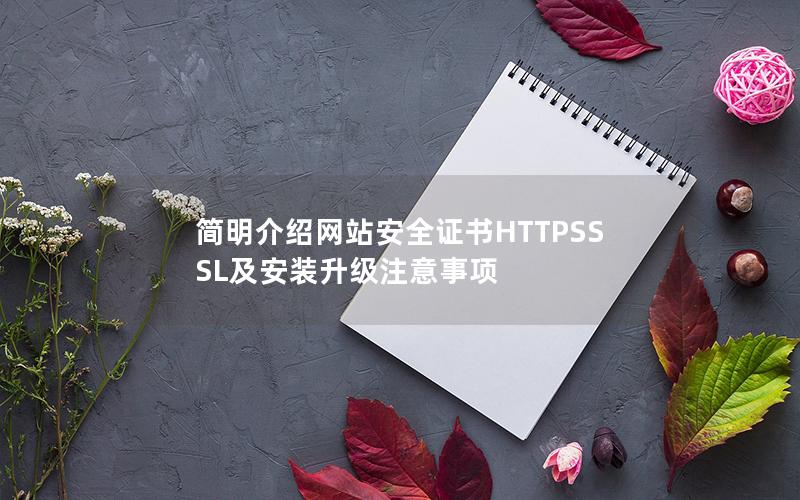简明介绍网站安全证书HTTPSSSL及安装升级注意事项