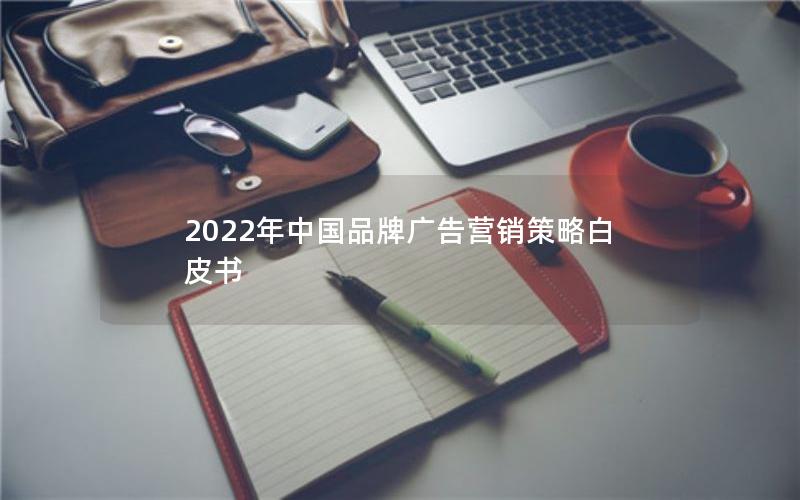 2022年中国品牌广告营销策略白皮书