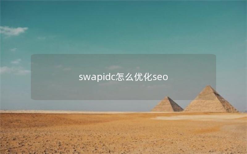 swapidc怎么优化seo