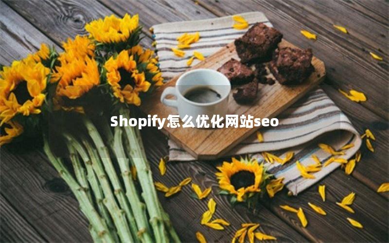 Shopify怎么优化网站seo