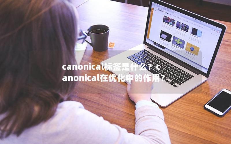canonical标签是什么？canonical在优化中的作用？