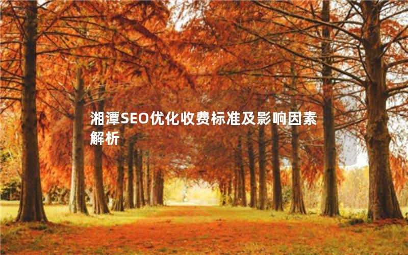 湘潭SEO优化收费标准及影响因素解析